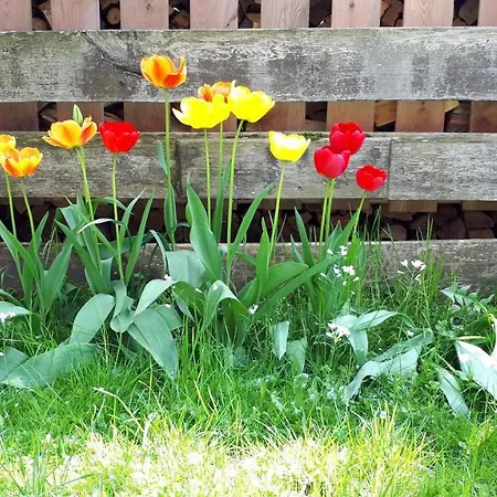 Haus Tschakert Guest house *